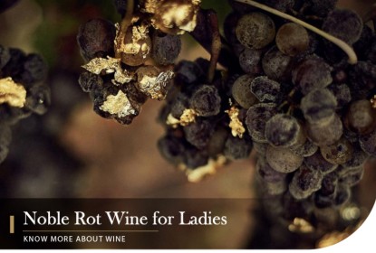 Noble Rot Wine for Ladies